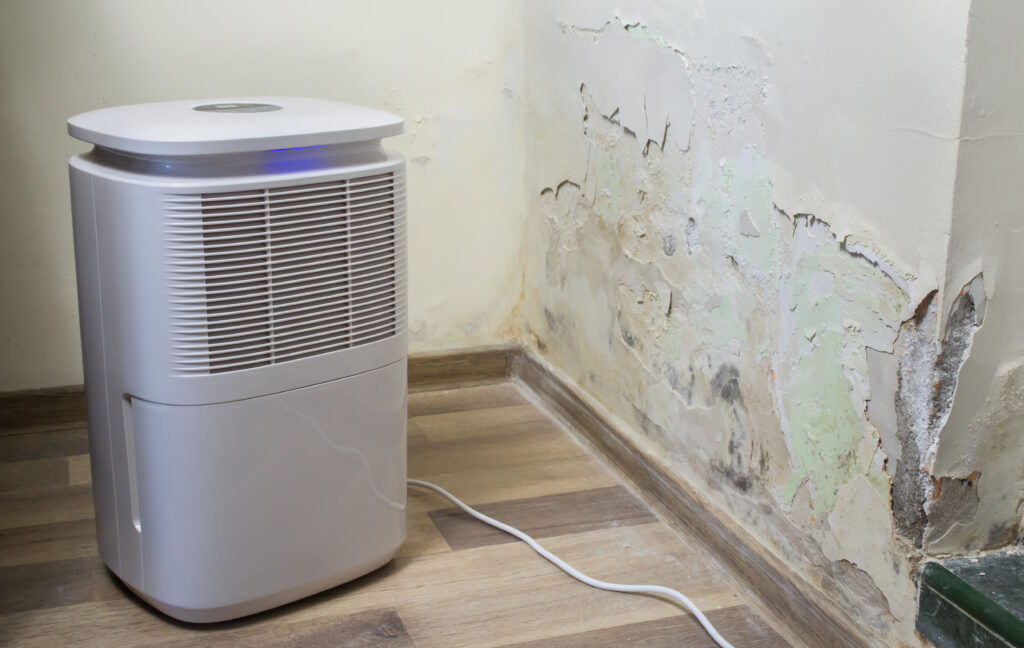 Why Your Dehumidifier Isn't Fixing Your Damp Problem (And What Will)